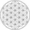 floweroflife